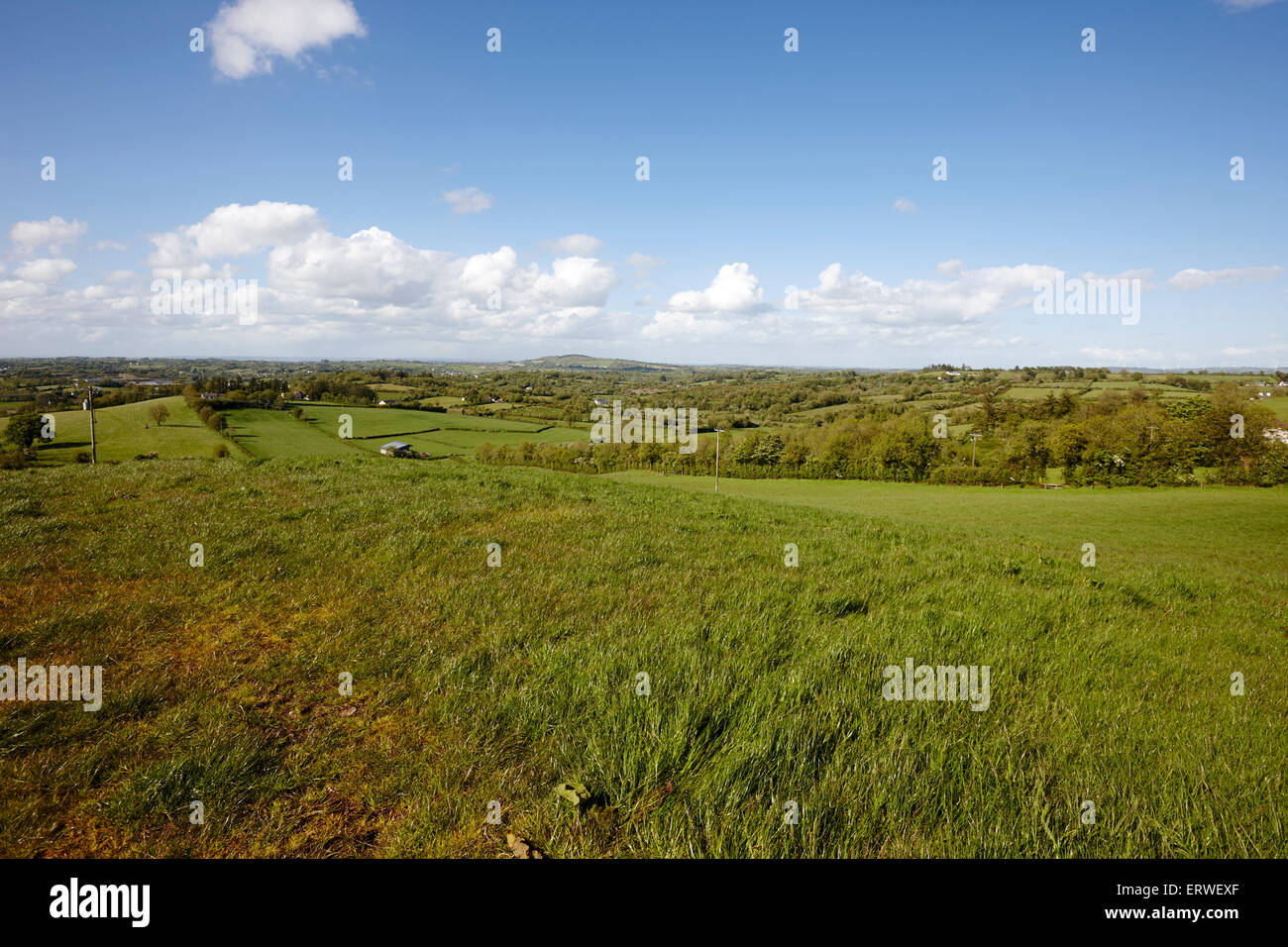 Verde campagna irlandese e terreni agricoli nella contea di Cavan Repubblica di Irlanda Foto Stock