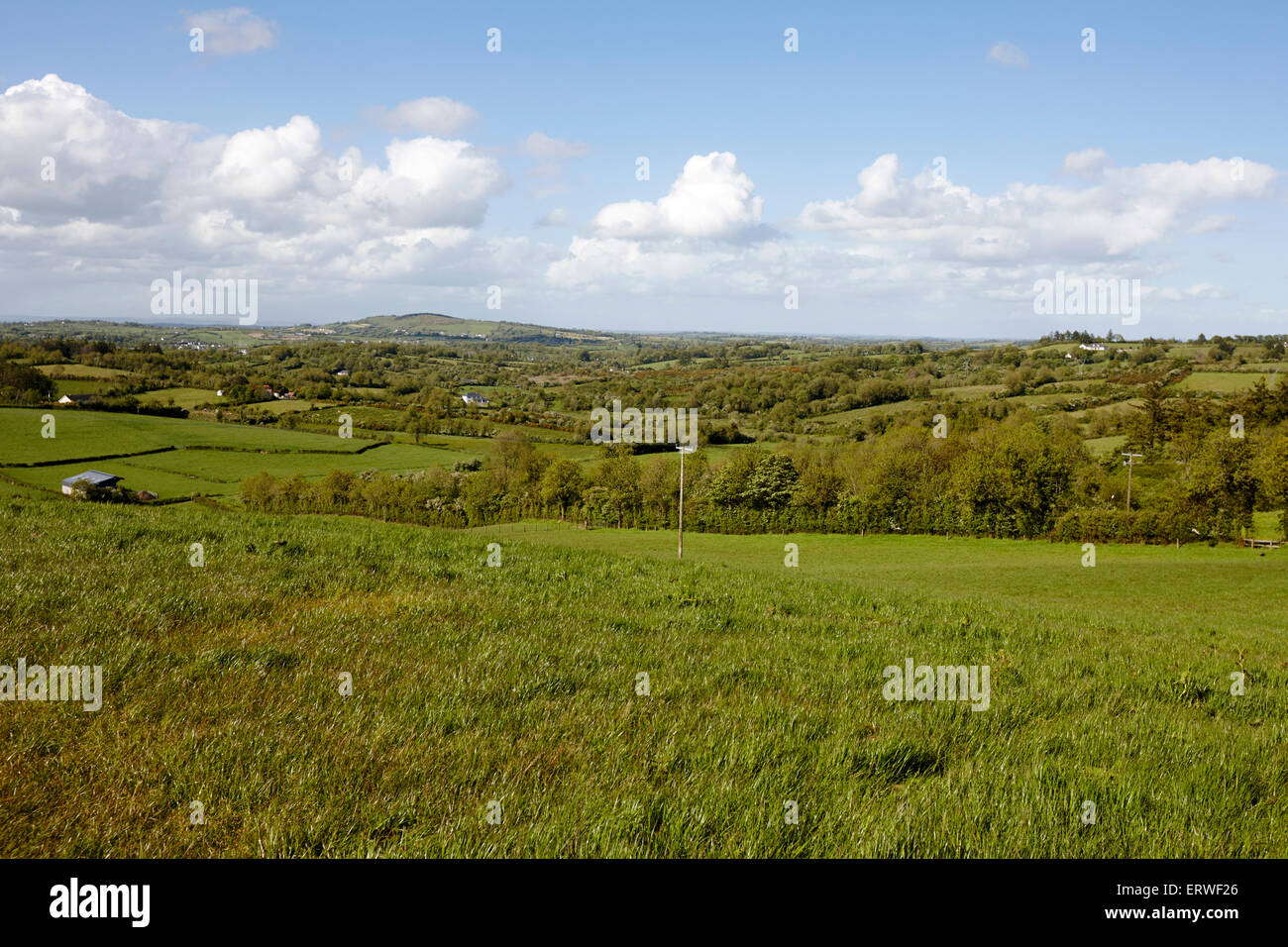 Verde campagna irlandese e terreni agricoli nella contea di Cavan Repubblica di Irlanda Foto Stock
