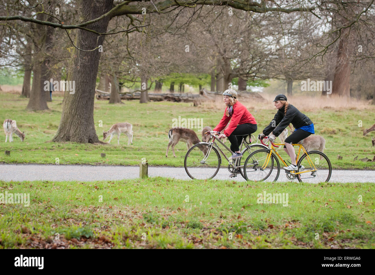 Il ciclismo è molto popolare a Londra il Richmond Park Foto Stock