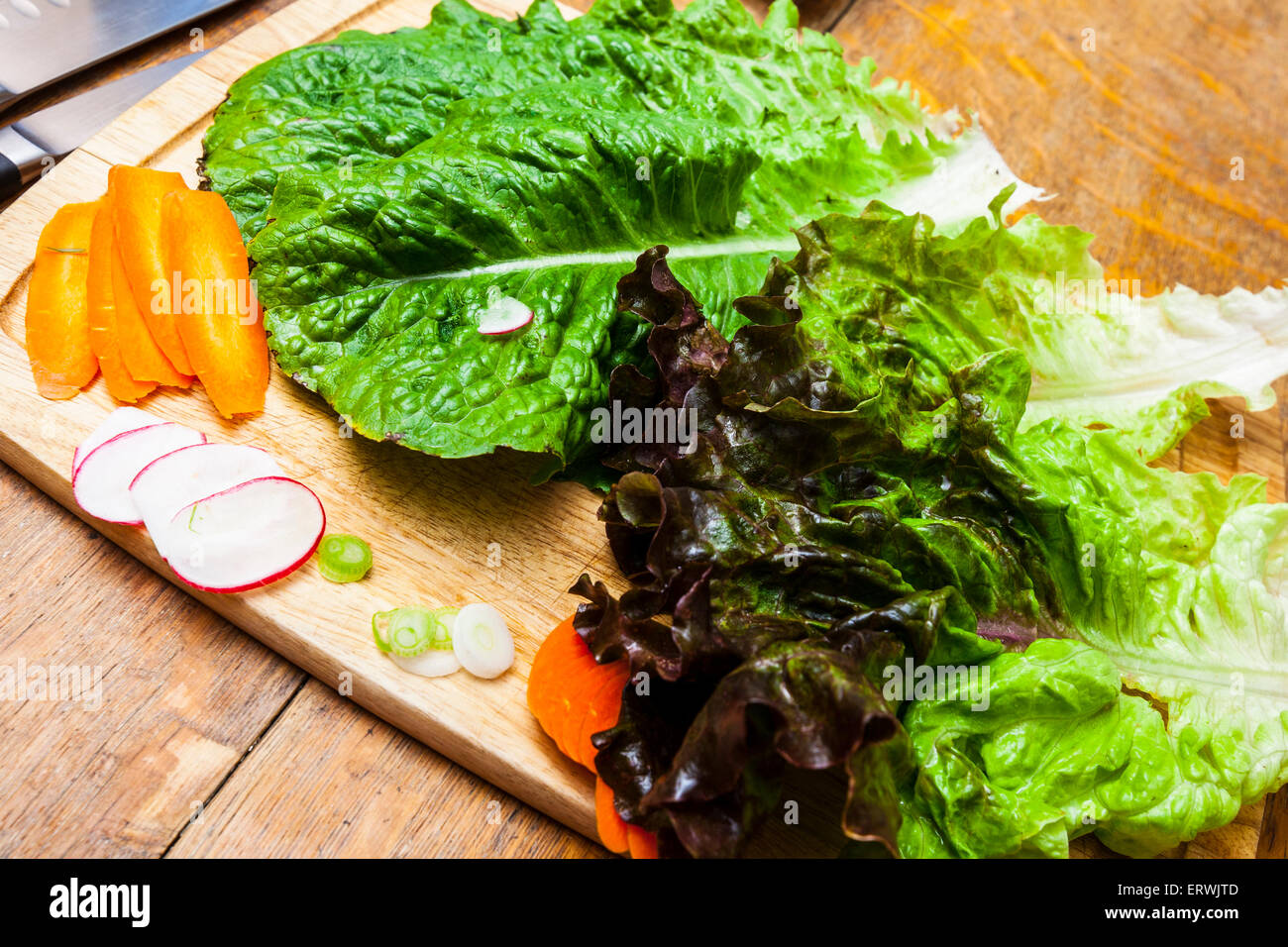 Ingredienti per insalata, Romaine e lattuga rossa con le carote affettate, ravanelli e cipollotti su un tagliere Foto Stock