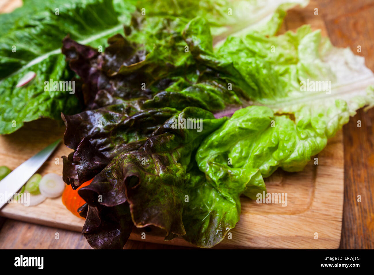 Ingredienti per insalata, Romaine e lattuga rossa con le carote affettate, ravanelli e cipollotti su un tagliere Foto Stock