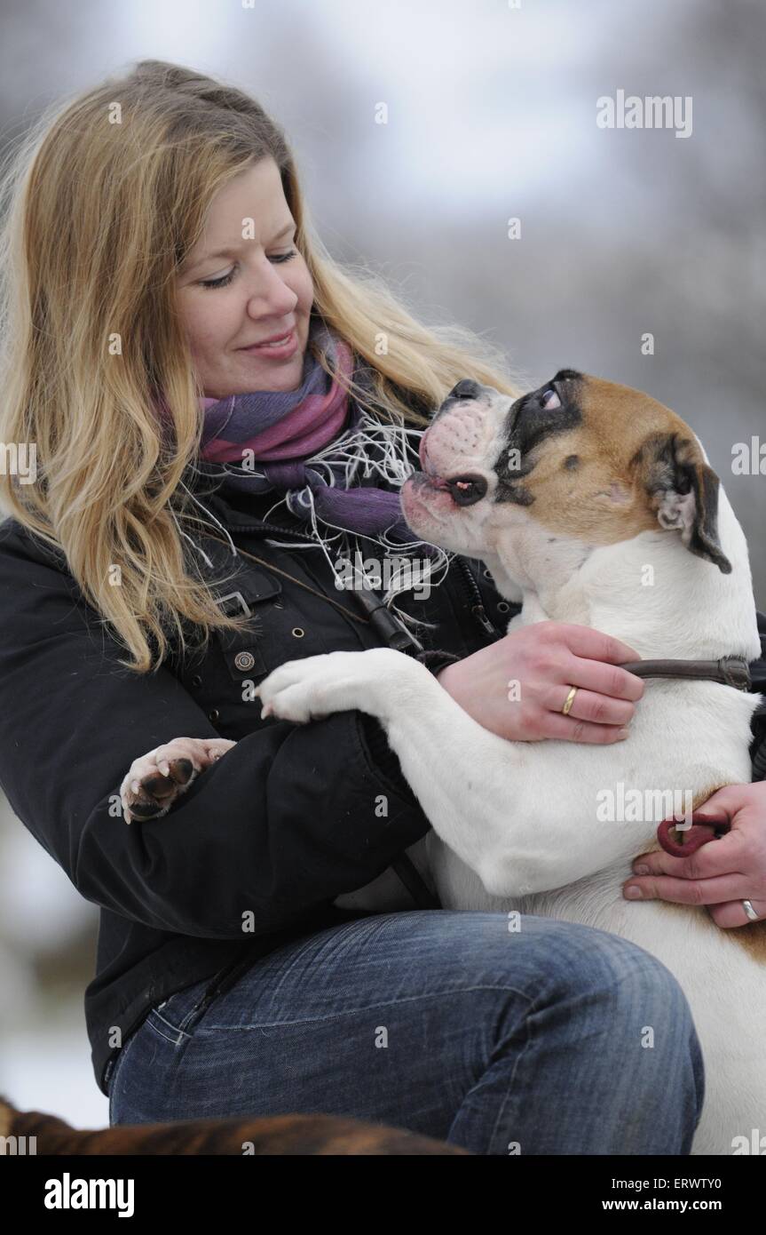 Donna e Continental Bulldog Foto Stock