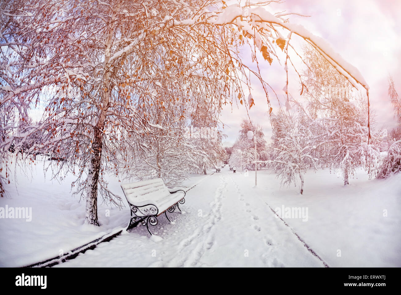 Parco con panchine e betulle nella stagione invernale in Almaty, Kazakhstan Foto Stock