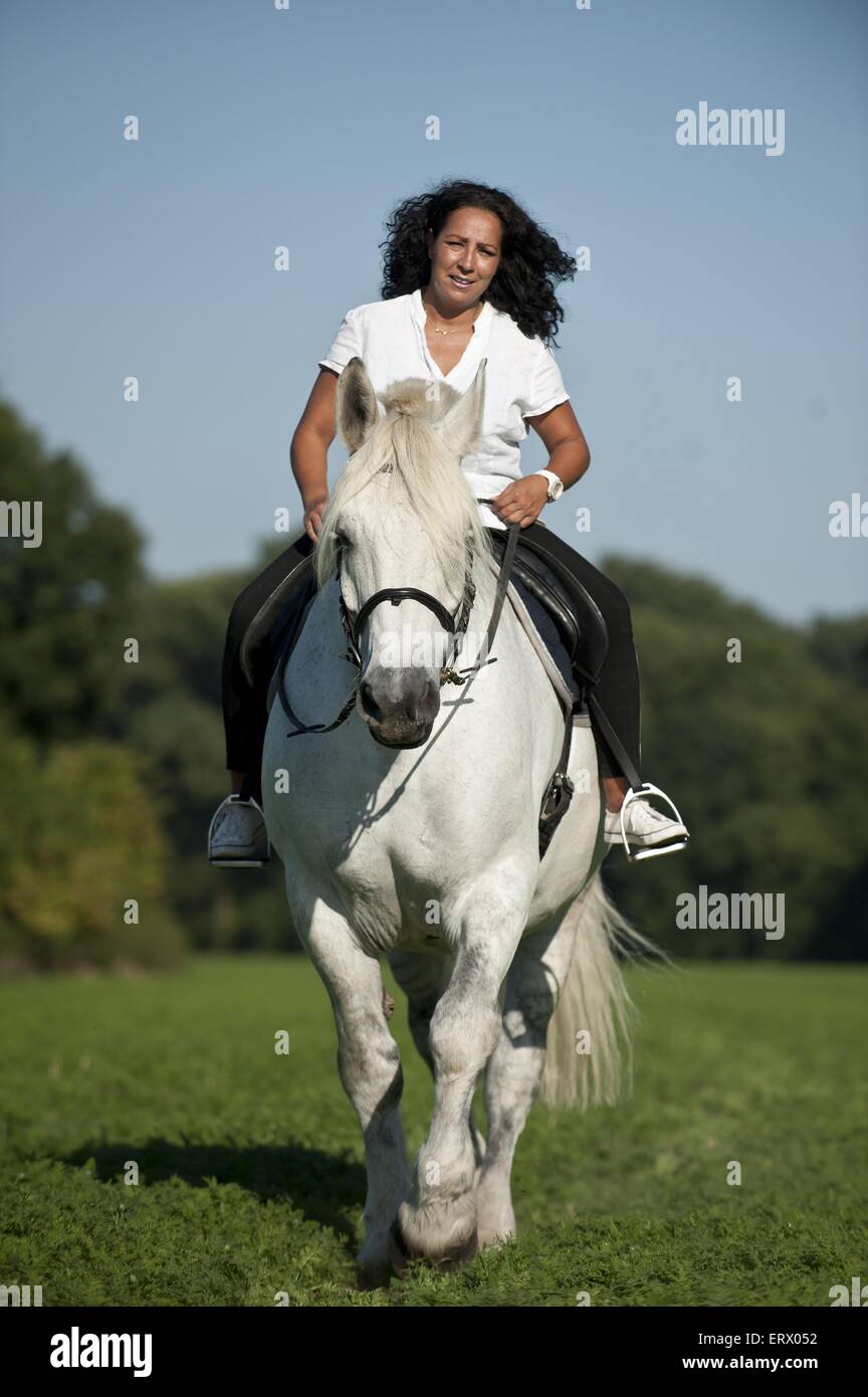 La donna corse Percheron Foto Stock