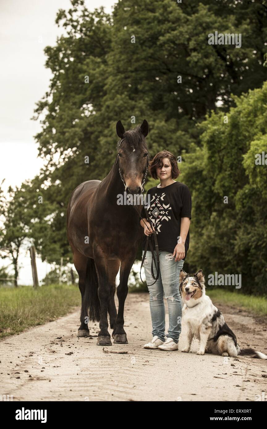 Donna e Welsh Cob Foto Stock