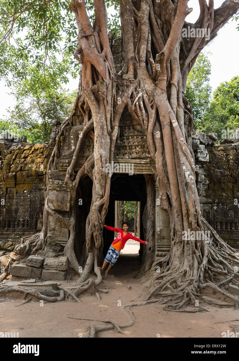 Ragazza in un gopuram, Strangler fig (Ficus altissima) esegue il wrapping di un rilievo, Ta Som, Tempio di Angkor, Siem Reap Provincia, Cambogia Foto Stock