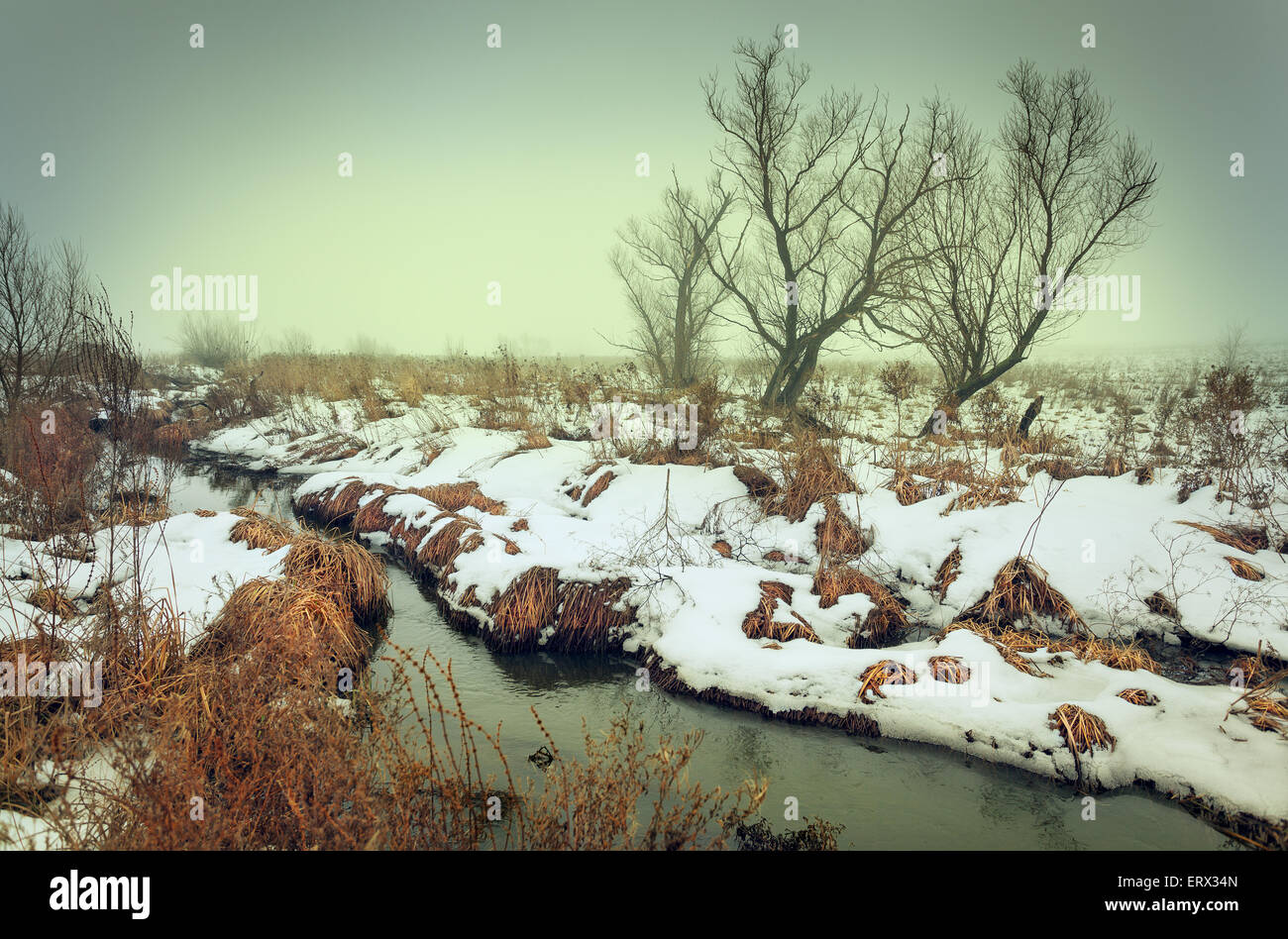Paesaggio invernale presso il fiume nella nebbia verde. Foresta in Ucraina Foto Stock