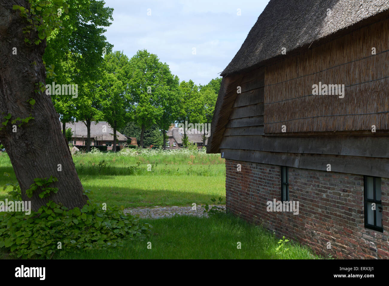 Paesaggio rurale della provincia di Drenthe, Paesi Bassi Foto Stock