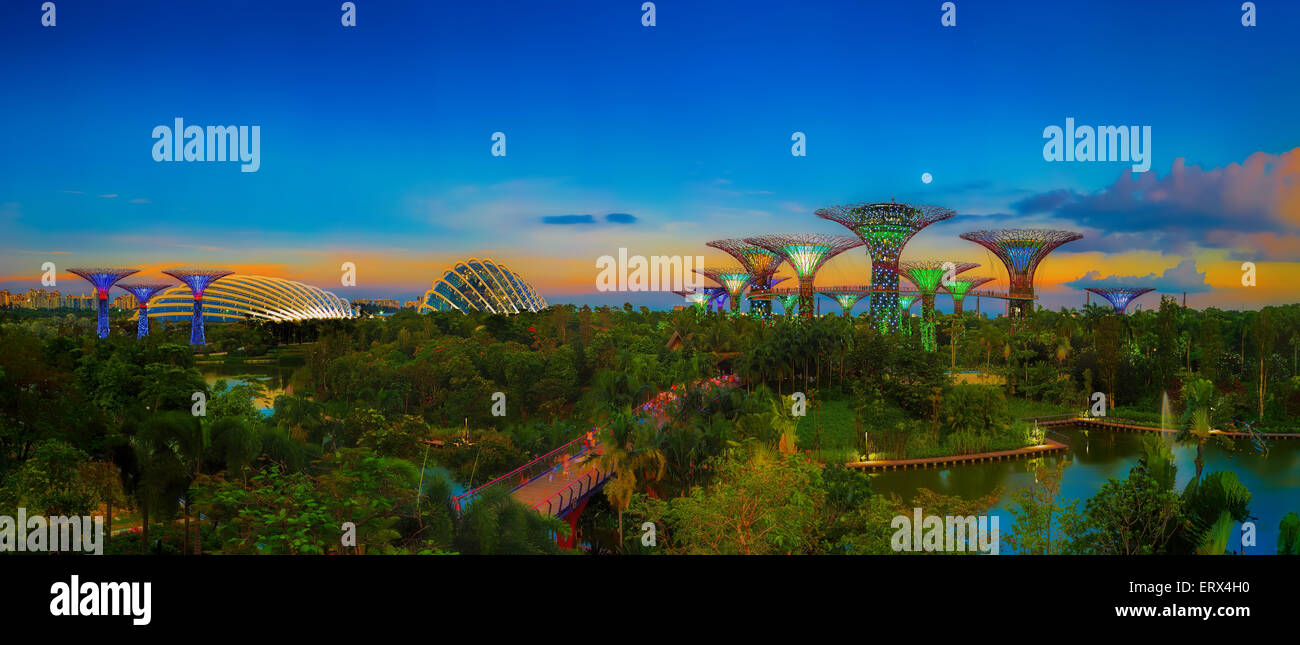 SINGAPORE-JUN 1: vista serale del Supertree Grove, Cloud Forest & Flower cupola a Giardini in baia su giu 1, 2015 Foto Stock