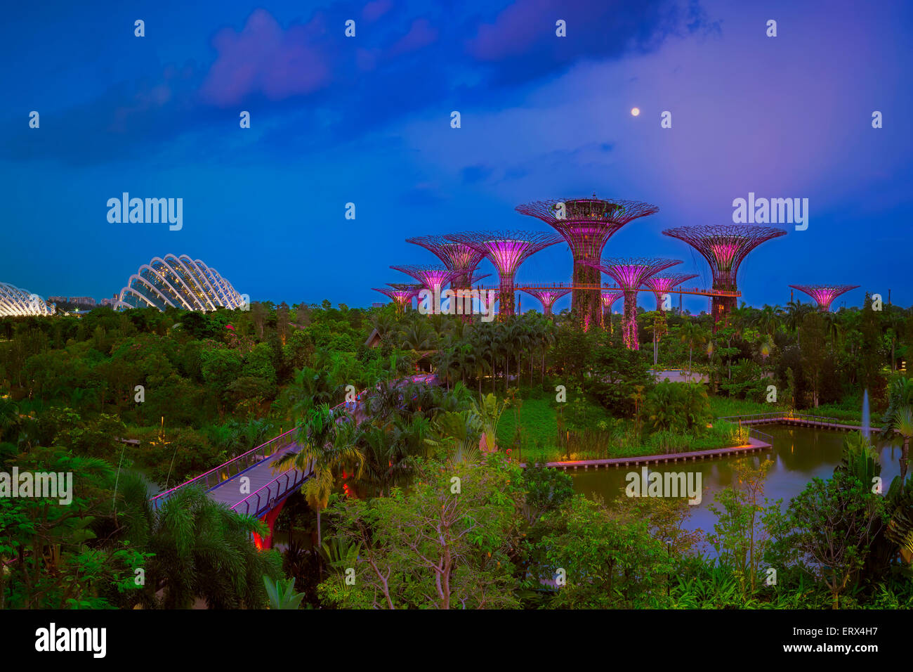 SINGAPORE-JUN 1: vista serale del Supertree Grove, Cloud Forest & Flower cupola a Giardini in baia su giu 1, 2015 Foto Stock