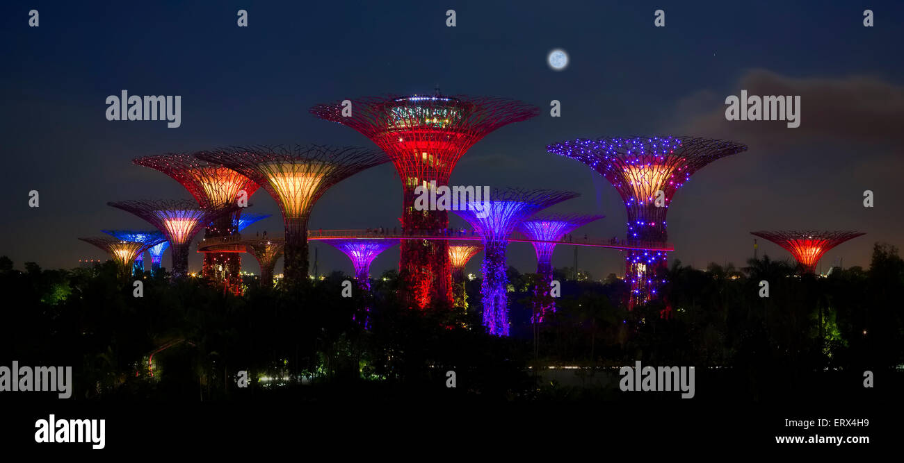 SINGAPORE-JUN 1: vista serale del Supertree Grove a Giardini in baia su giu 1, 2015 a Singapore. Foto Stock