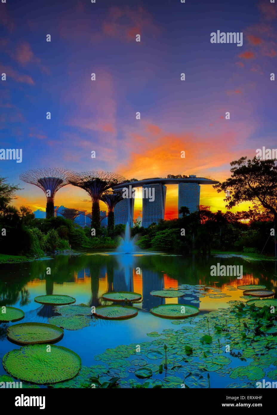 SINGAPORE-JUN 07: vista serale del laghetto di ninfee, e Marina Bay Sands a Giardini in baia su giu 07, 2015 a Singapore. Foto Stock