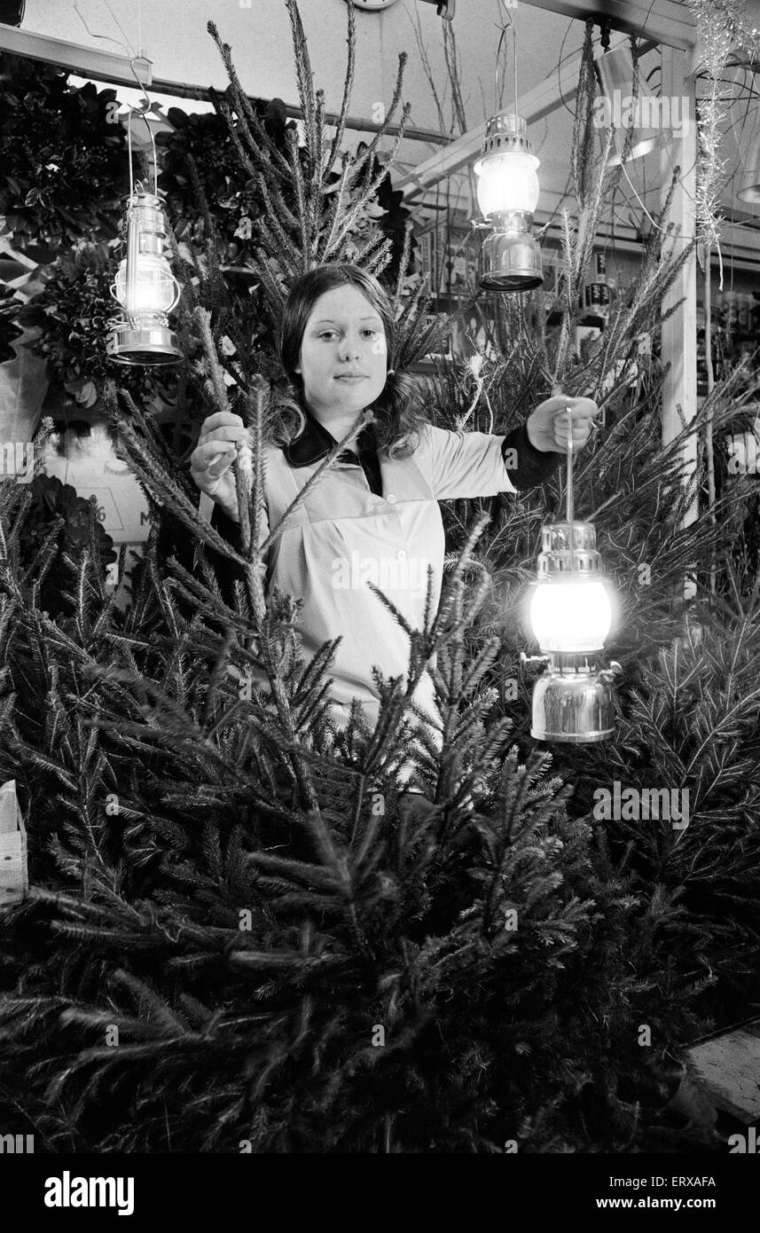 Alberi di Natale, in vendita durante un blackout, essendo venduto a lume di candela, Market Hall di Birmingham. Lunedì 17 Dicembre 1973. Foto Stock