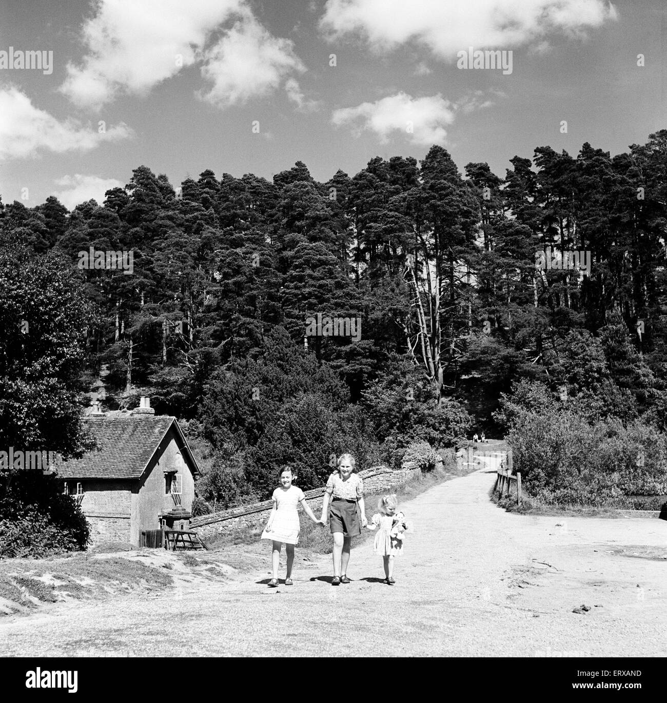 Bambini che giocano nella frazione di venerdì Street nel Surrey. Il 28 agosto 1952. Foto Stock