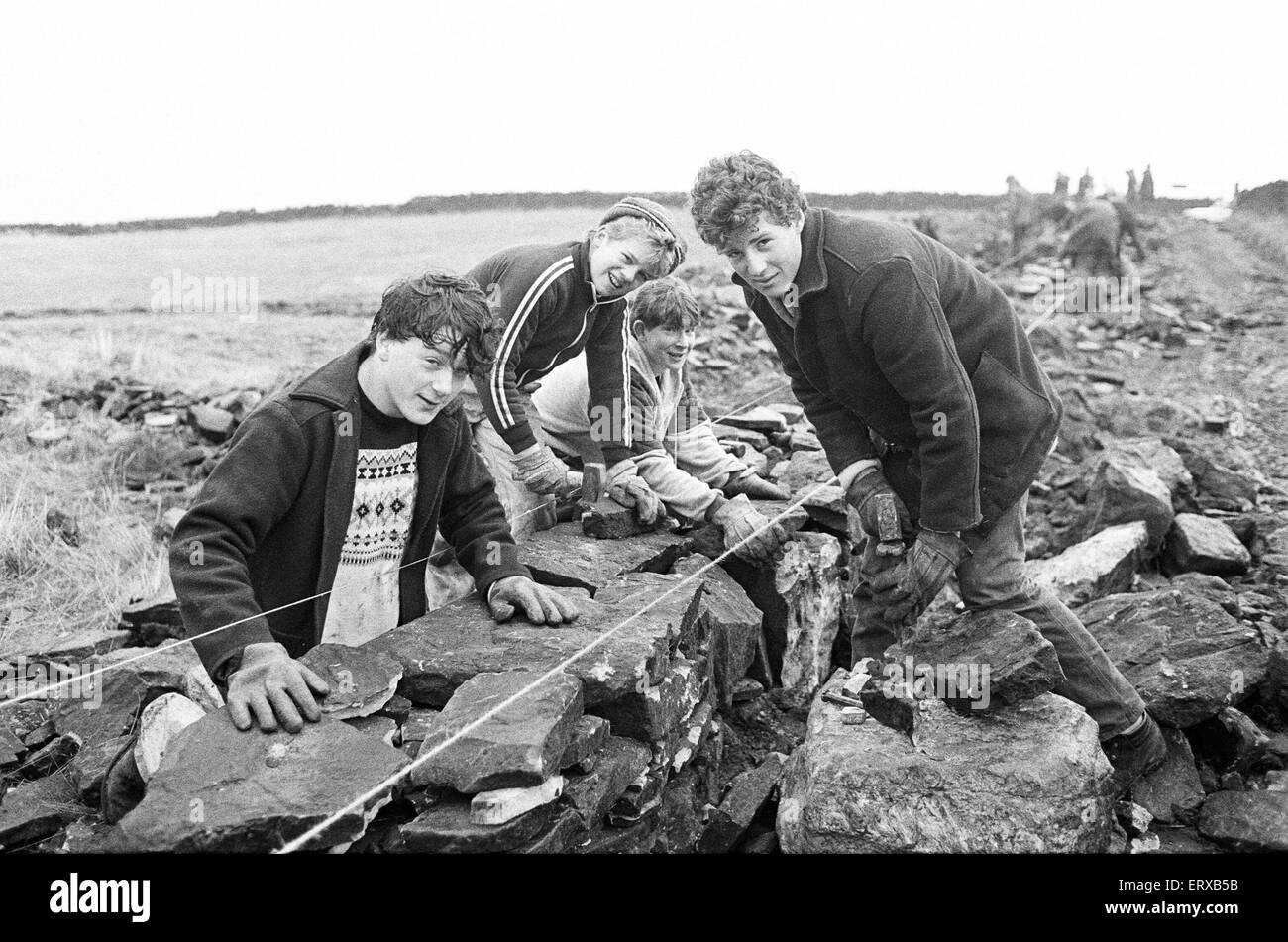 Colne Valley scuola bambini muretti a secco a scava Moor Farm, Slaithwaite. Insegnate da Kenneth Francia. 17 dicembre 1985. Foto Stock