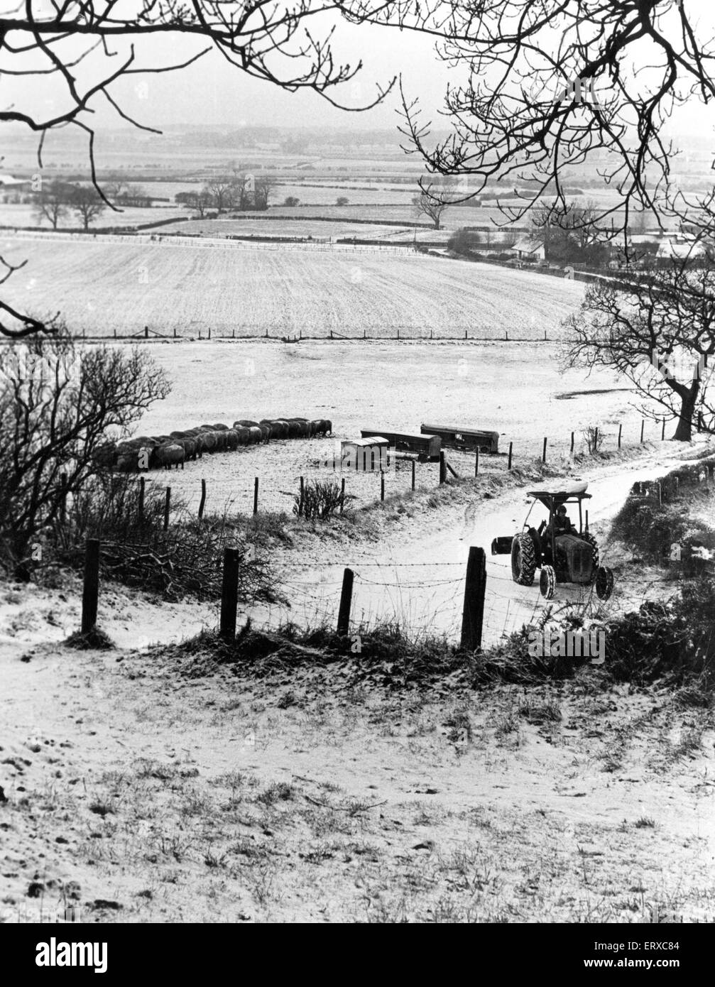 Roseberry Topping al villaggio di Newton, Teesside, 12 gennaio 1982. Foto Stock