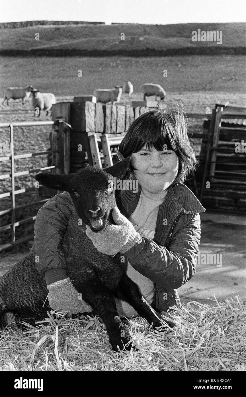 Un mese di vecchio agnello diventa una coccola da 10-anno-vecchio Heather Lawton. L'agnello era nato a Greengates Farm, Holthead, Slaithwaite. Il 25 gennaio 1986. Foto Stock