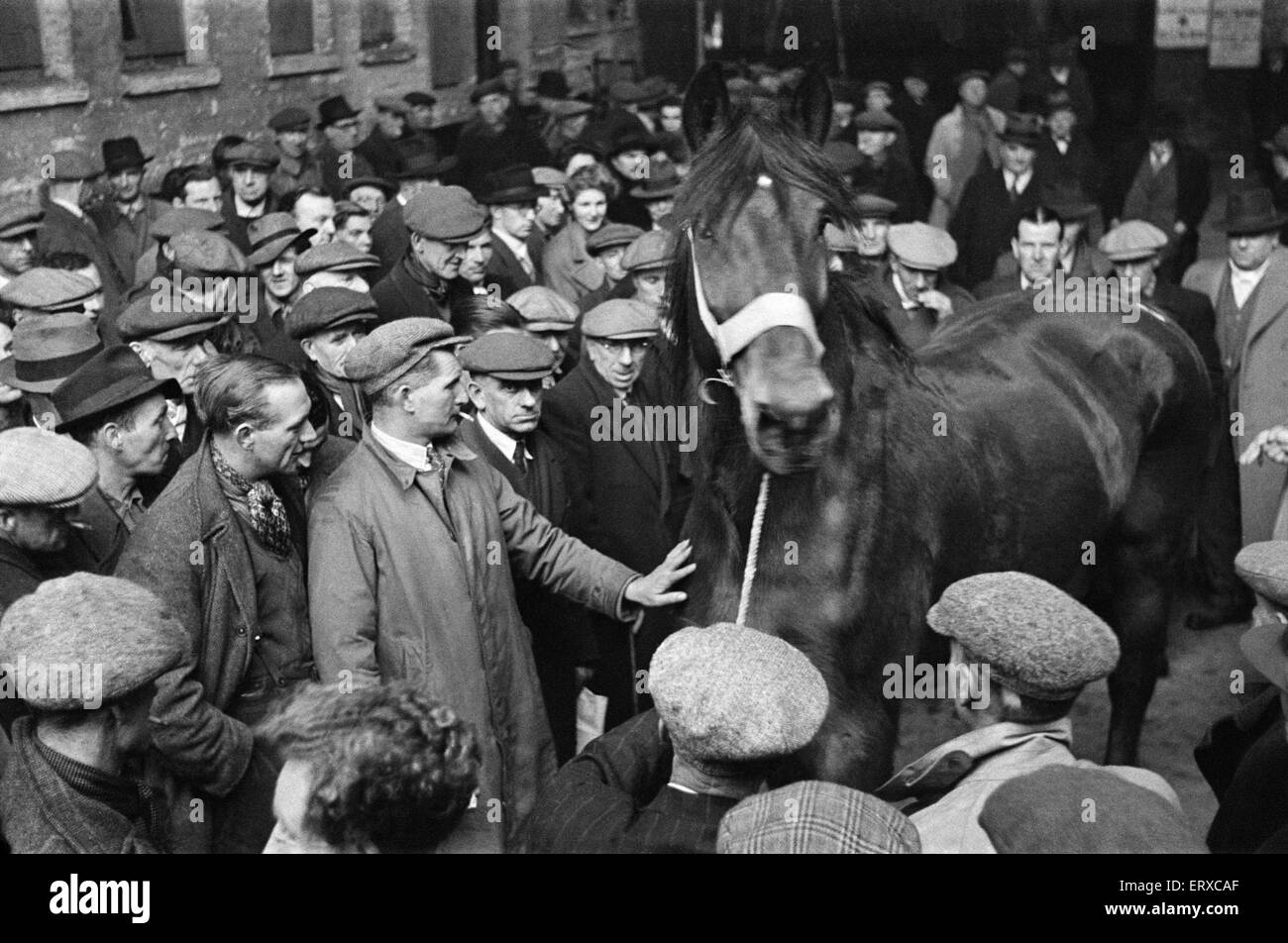 Carrello e Van Horse Auction, New Kent Road, Londra, circa del dicembre 1947 Foto Stock