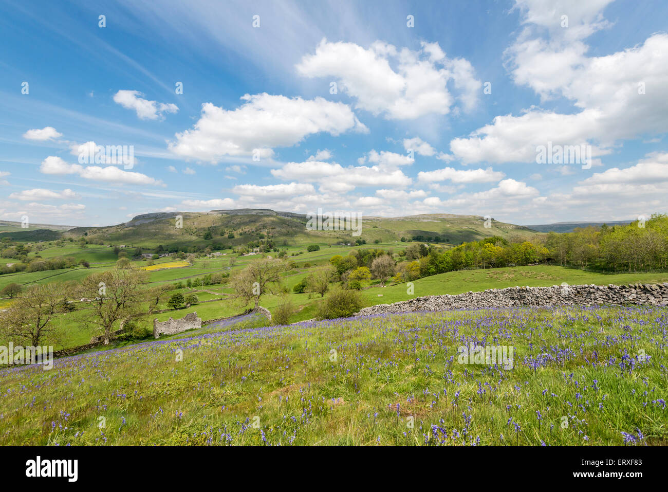 Maughton Moor dal legno Wharfe Foto Stock