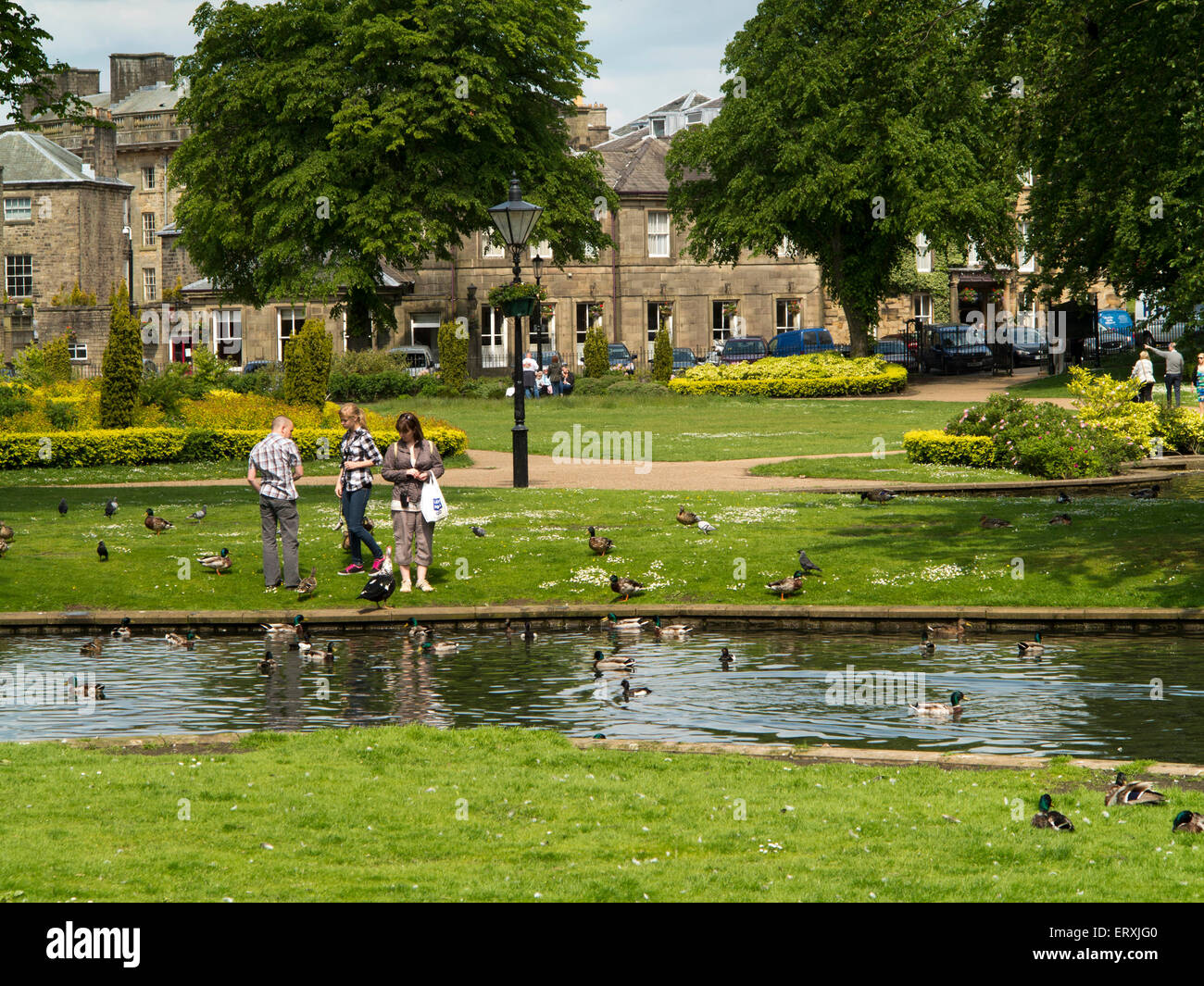 Regno Unito, Inghilterra, Derbyshire, Buxton, Pavilion Gardens, visitatori anatre di alimentazione Foto Stock