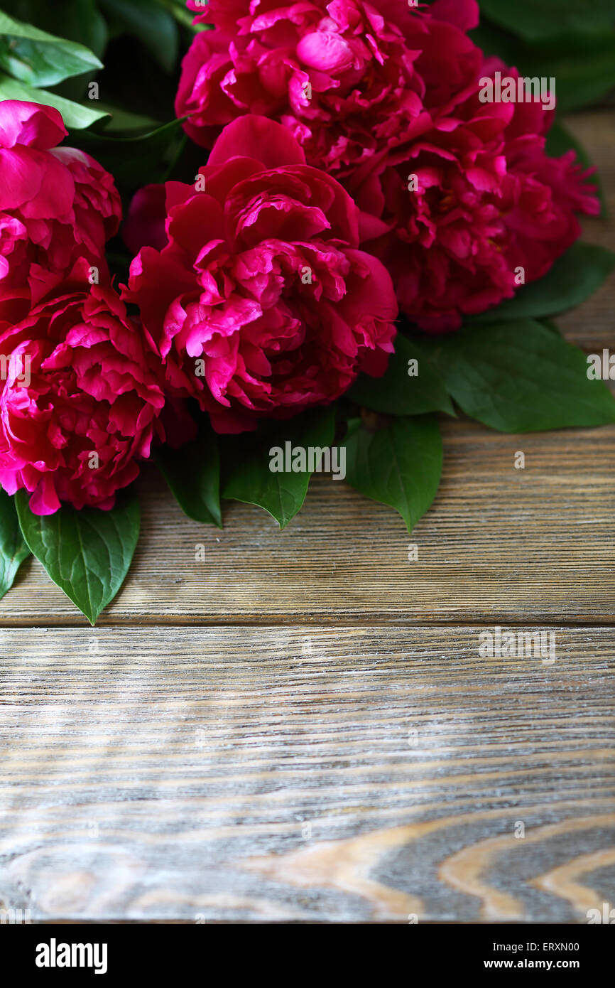 Mazzo di peonie sui pannelli, fiori Foto Stock