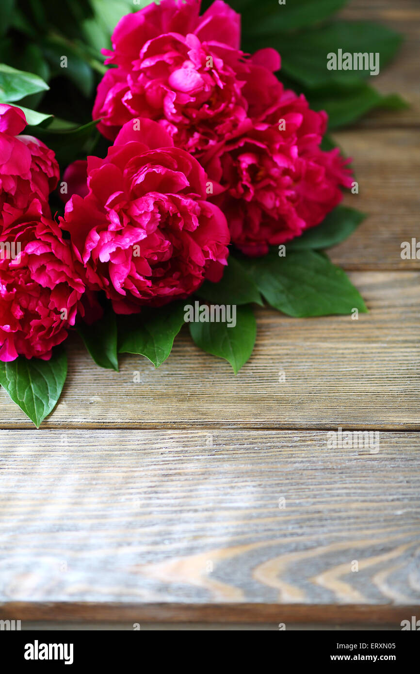 Le Peonie su uno sfondo di legno, fiori Foto Stock