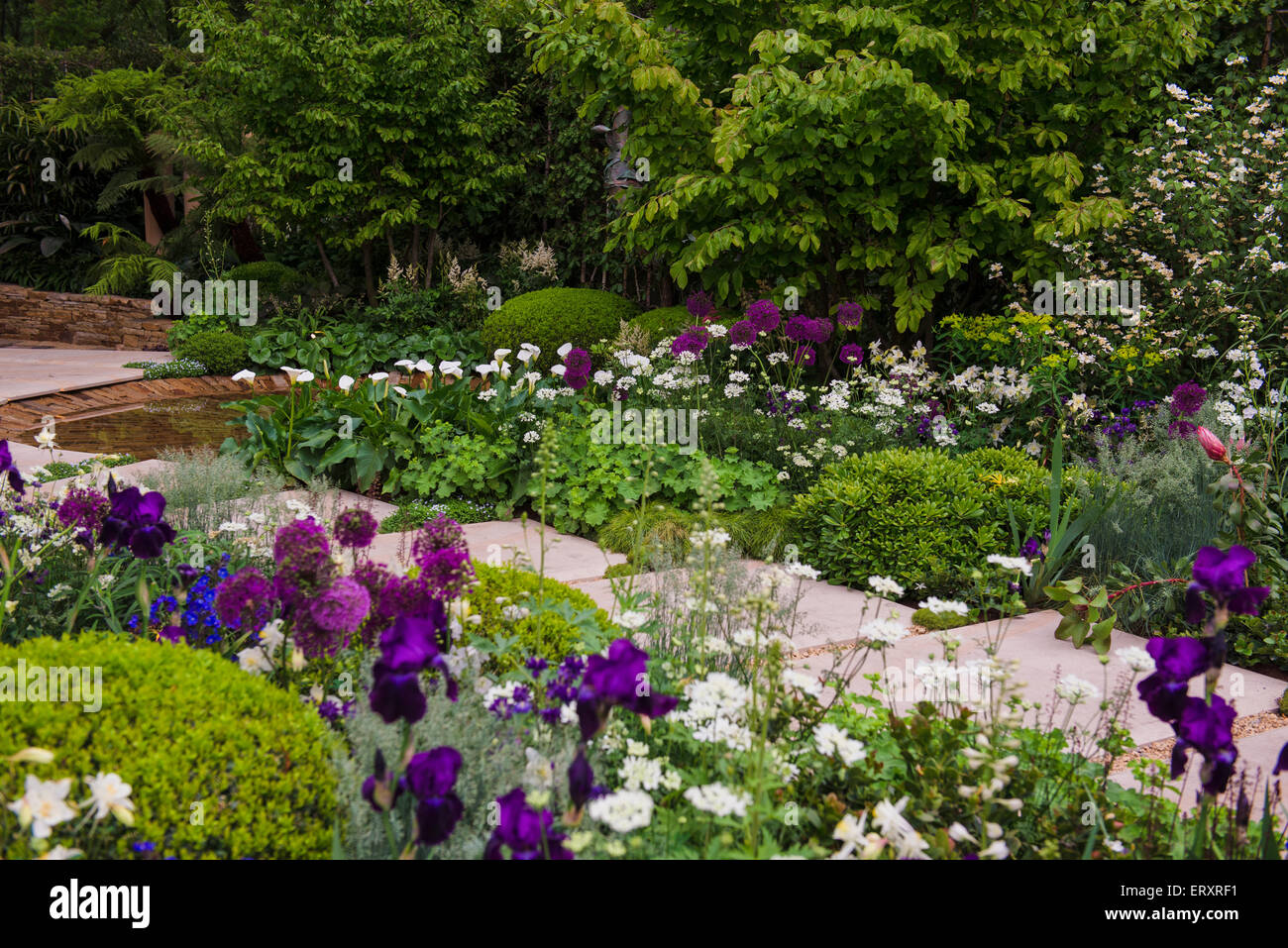 2015 RHS Chelsea Flower Show, il tempo tra un da Husqvarna e Gardena, progettato da Charlie Albone Foto Stock