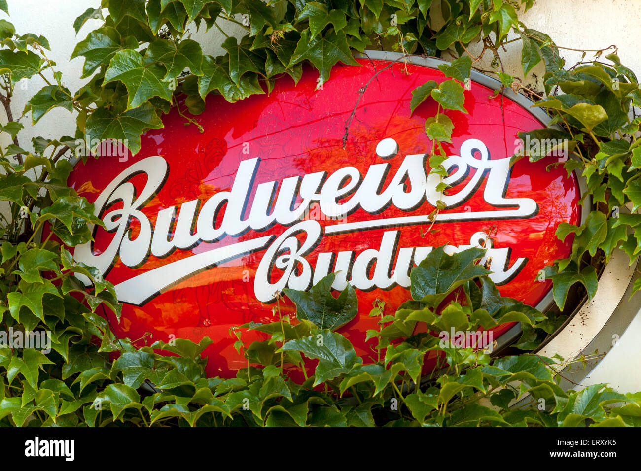 Budweiser Budvar firmare al di fuori dei bar birreria del marchio Repubblica Ceca Foto Stock