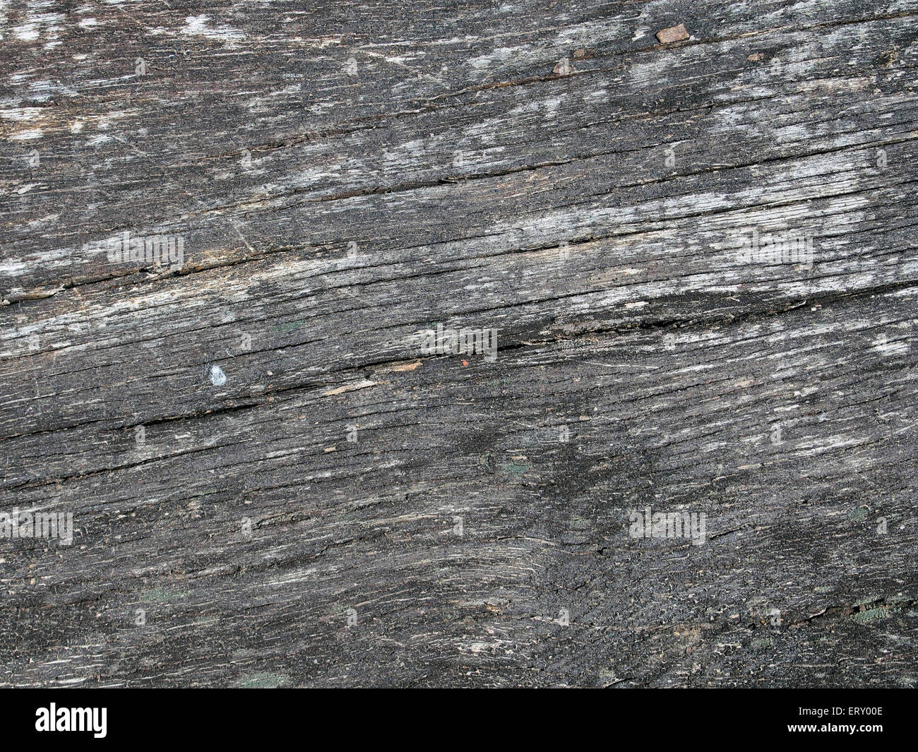 Close-up di dettaglio della superficie del legno stagionato mobili da giardino che mostra la consistenza della grana aperta. Foto Stock