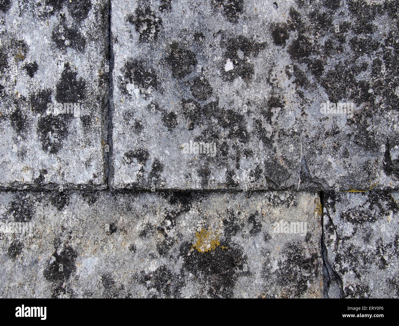 Close-up dettaglio della parte di un vecchio tetto in ardesia che mostra la struttura dell'ardesia e la superficie licheni. Foto Stock