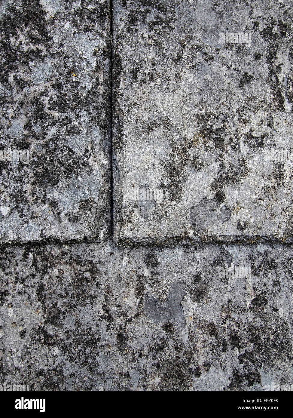 Close-up dettaglio della parte di un vecchio tetto in ardesia che mostra la struttura dell'ardesia e la superficie licheni. Foto Stock