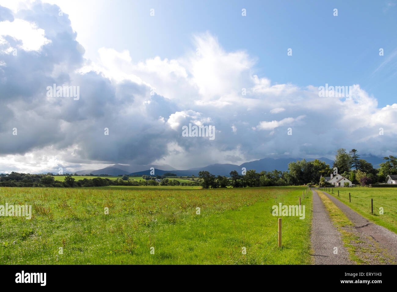 Agriturismo con pioggia nuvole e pascoli verdi in Killorglin, nella contea di Kerry, Irlanda Foto Stock