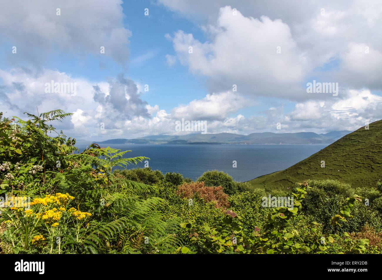 Paesaggio panoramico all'Anello di Kerry in Cahersiveen, nella contea di Kerry, Irlanda Foto Stock