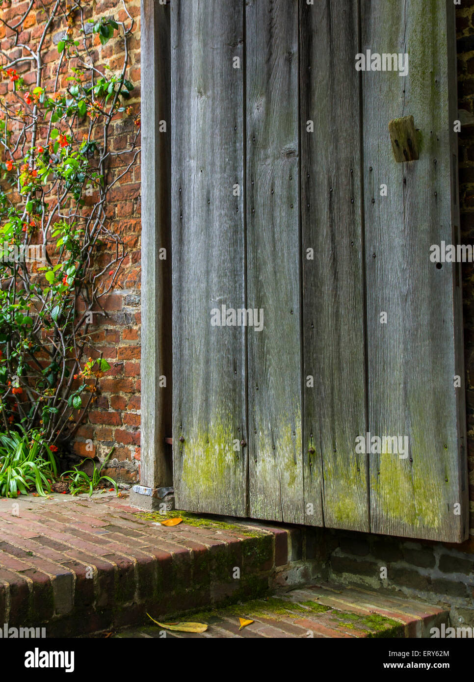 Weathered legno altalene porta aperta a un giardino dimenticato in Inghilterra Foto Stock