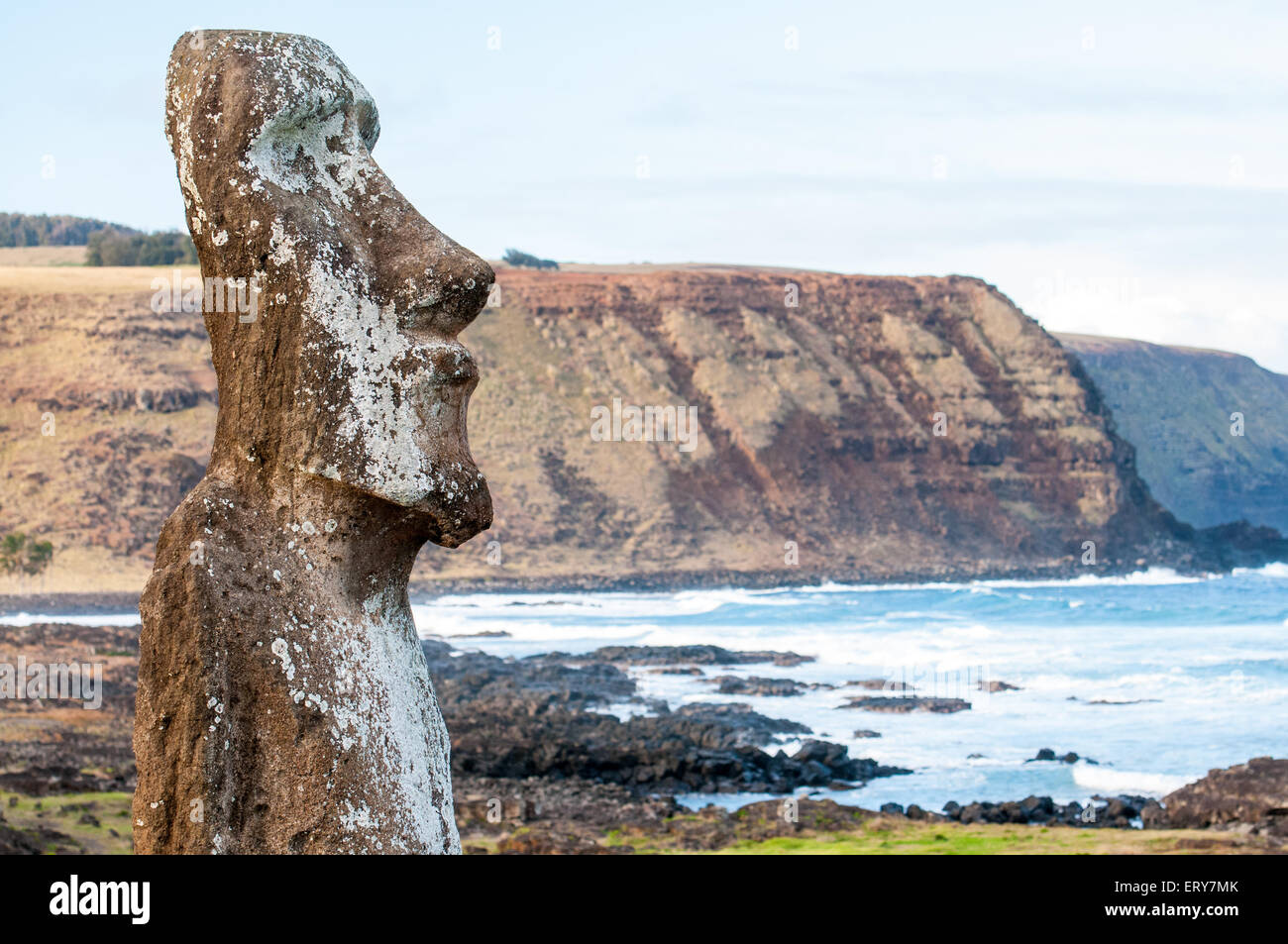Moai statua sull'Isola di Pasqua Foto Stock