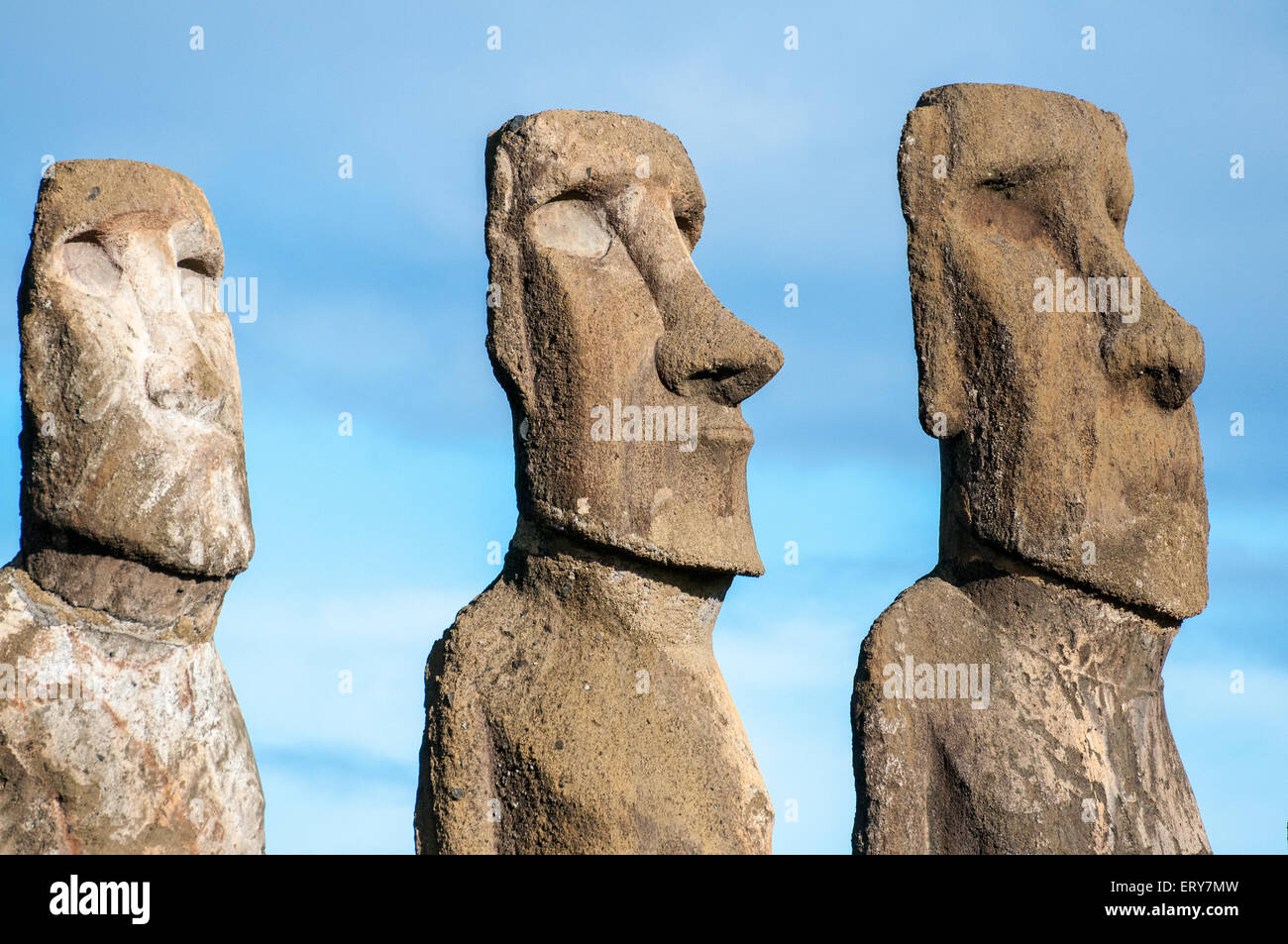 Moai statue sull'Isola di Pasqua Foto Stock