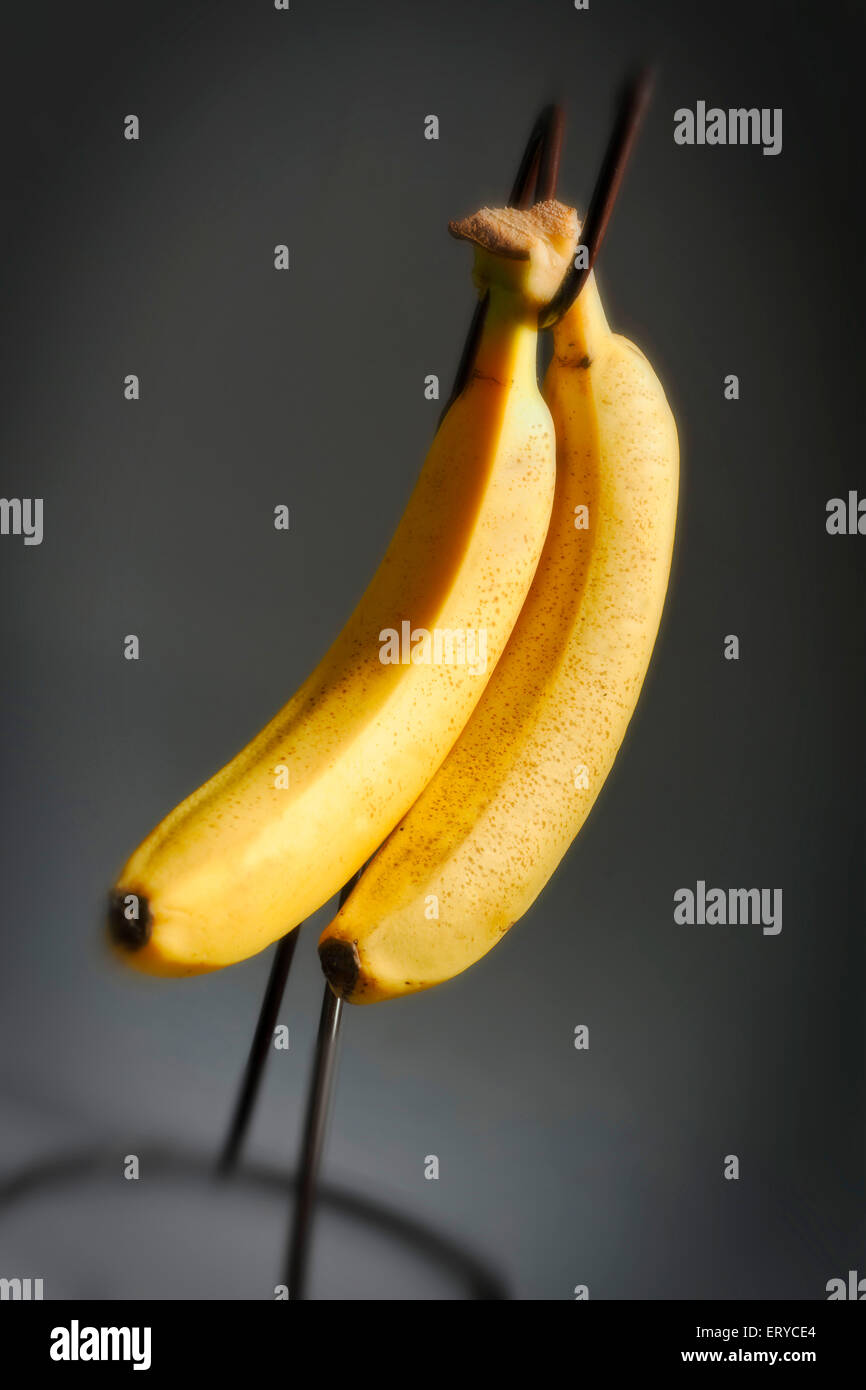 Cose da cucina ; frutti ; banana con supporto ; Mumbai Bombay ; Maharashtra ; India Foto Stock