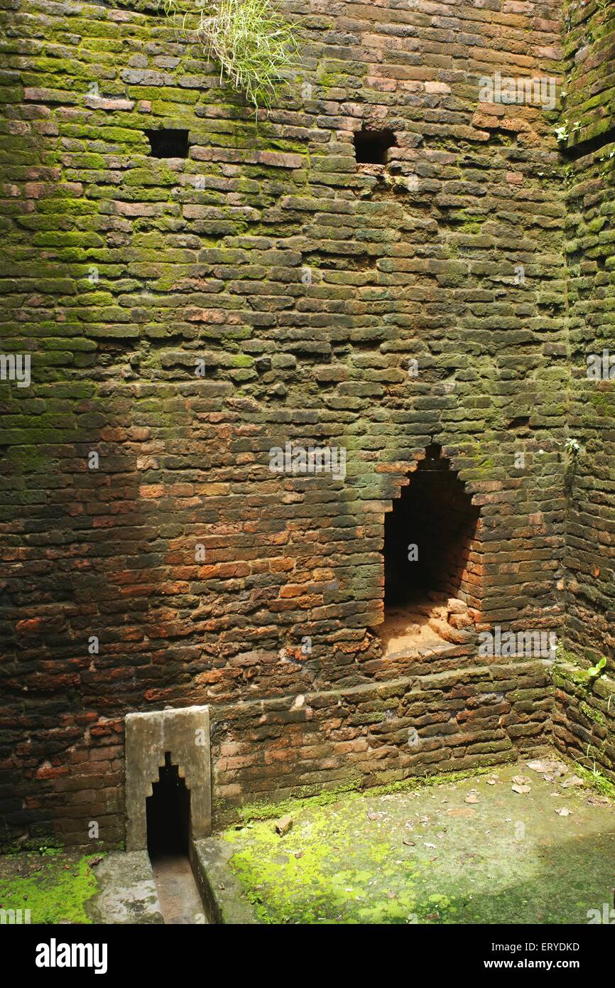 Struttura dei mattoni del sito buddista ; Nalanda ; Mahavihara , Bihar ; India , Asia Foto Stock