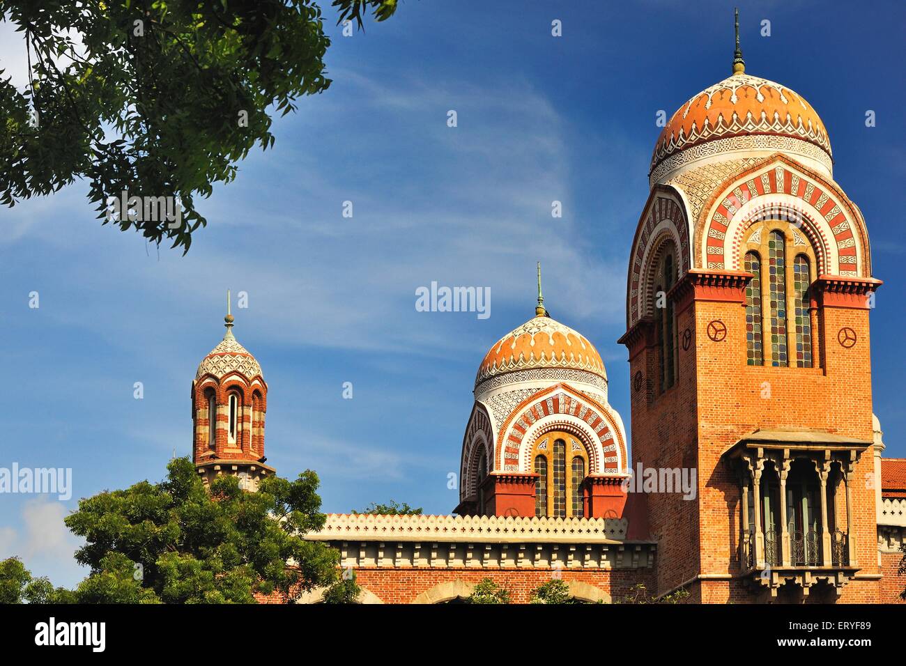 Senate House di madras università ; Madras Chennai ; Tamil Nadu ; India Foto Stock