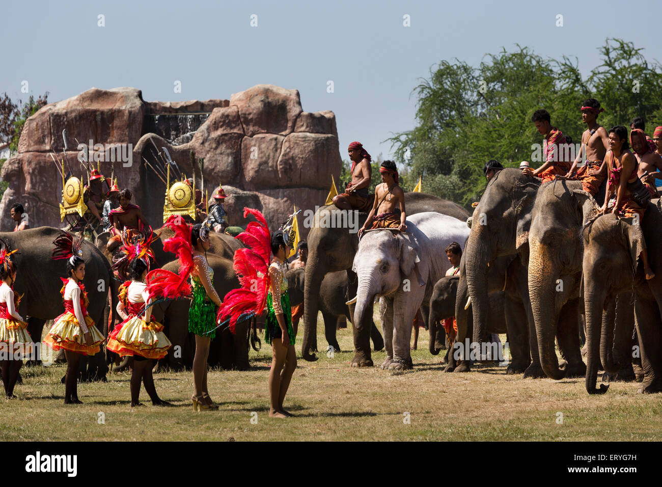 Elefante bianco presso il Festival di elefante, Surin Elephant Round-Up, Provincia di Surin, Isan, Isaan, Thailandia Foto Stock