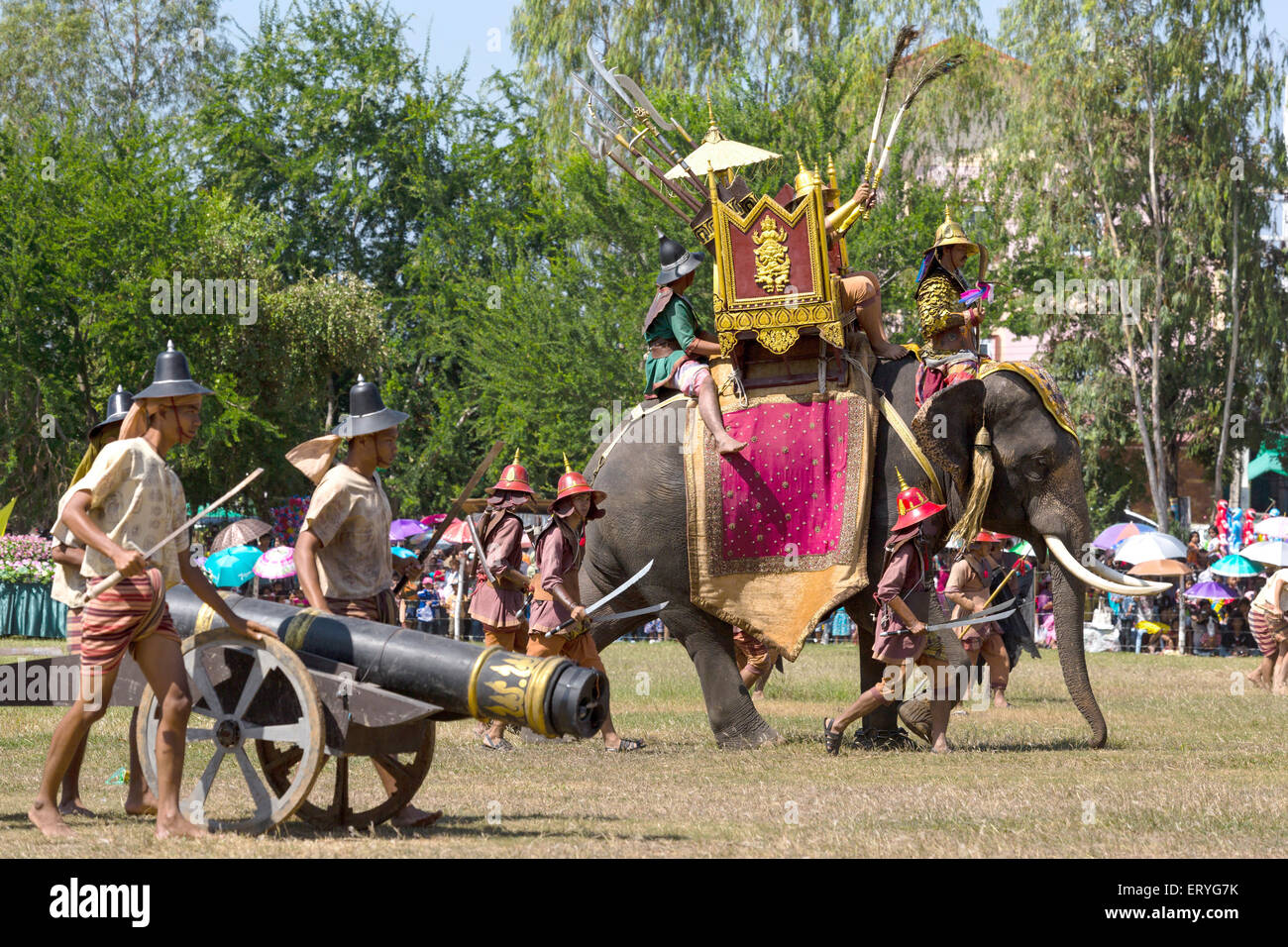 La guerra elephant e cannon presso il Festival di elefante, Surin Elephant Round-up, Provincia di Surin, Isan, Isaan, Thailandia Foto Stock