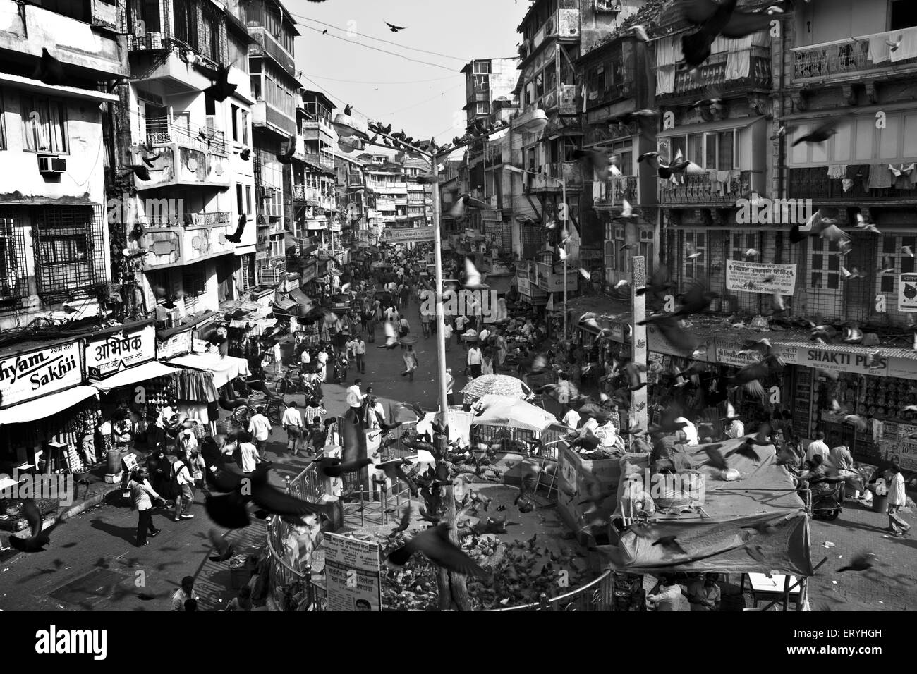 Kabutar Khana ; Bhuleshwar ; Bombay , Mumbai ; Maharashtra ; India , asia Foto Stock