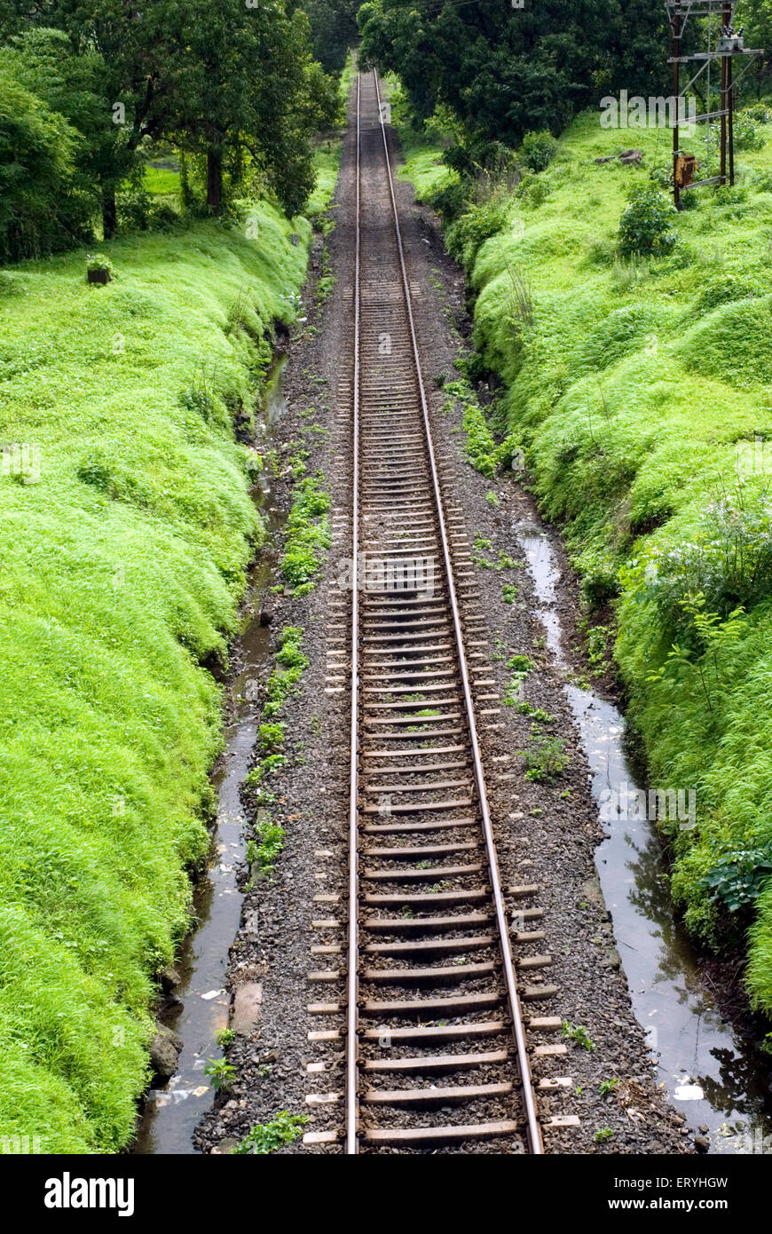 Ferrovia ; distretto di Raigadh ; Maharashtra ; India , Asia Foto Stock