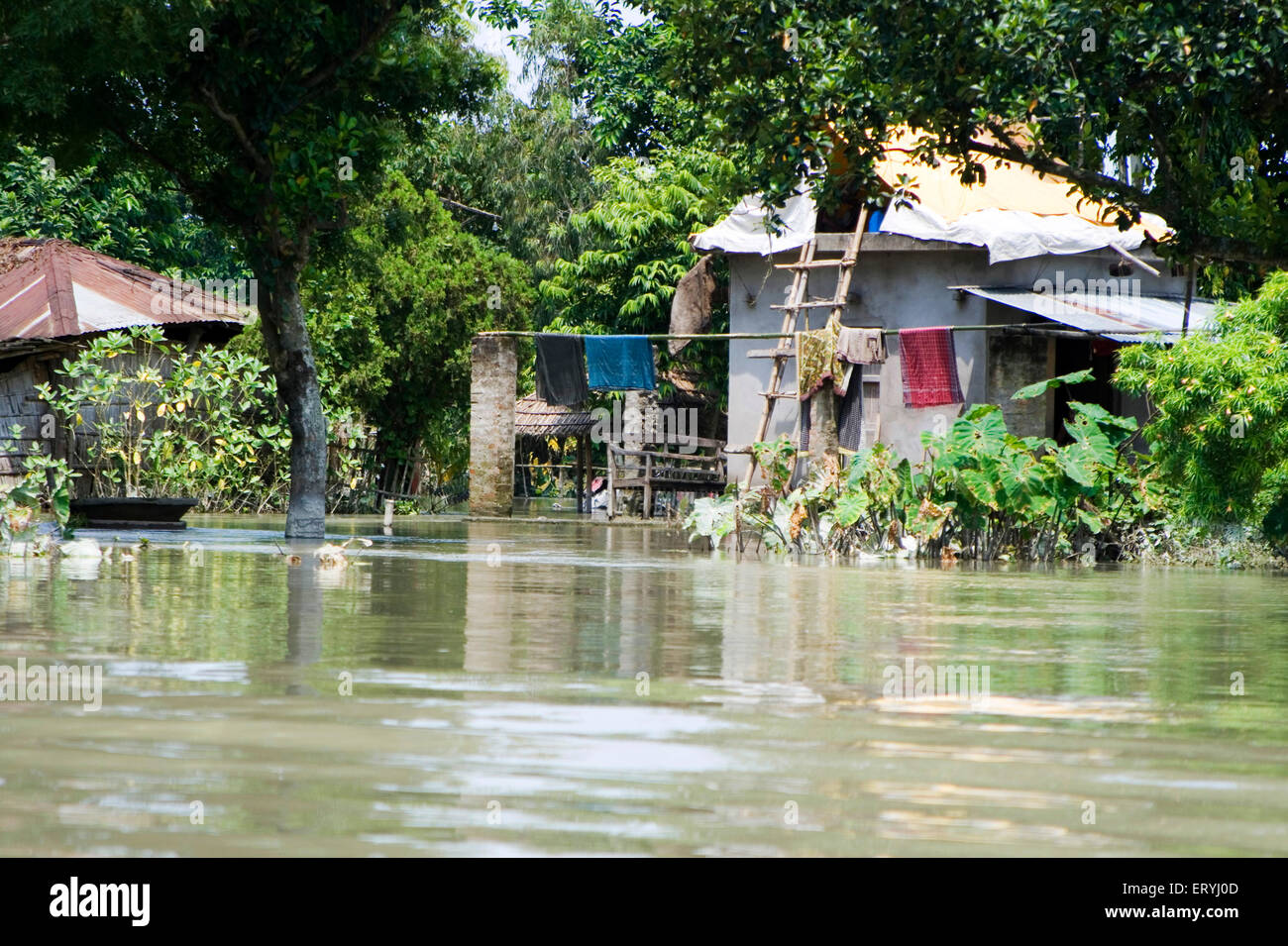 Alluvione del fiume Kosi , Koshi , Purnea , distretto di Purnia , Bihar , India , Asia Foto Stock