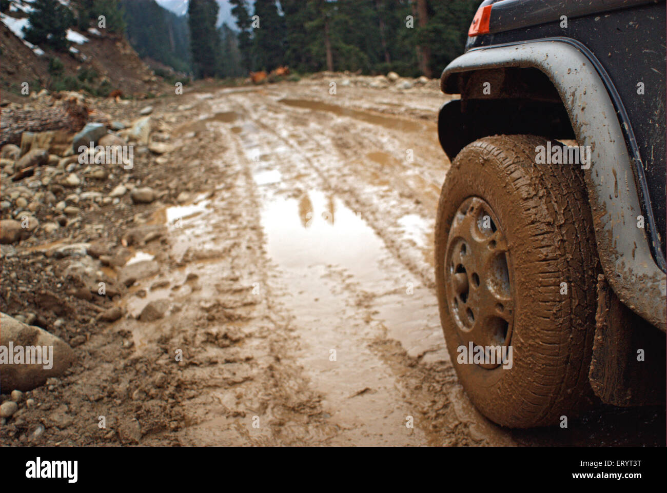 Auto su fangoso in costruzione Mughal Road ; Poonch a Shopian , Jammu e Kashmir ; India , Asia Foto Stock
