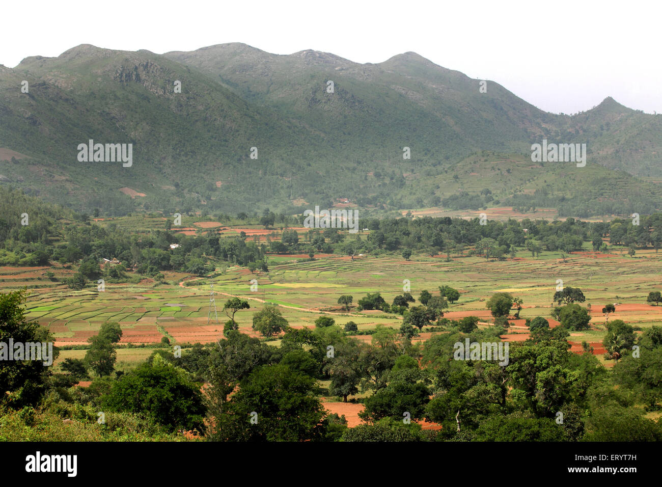 Araku Valley , Hill Station , Ghats Orientali , Visakhapatnam , Andhra Pradesh , India , Asia Foto Stock