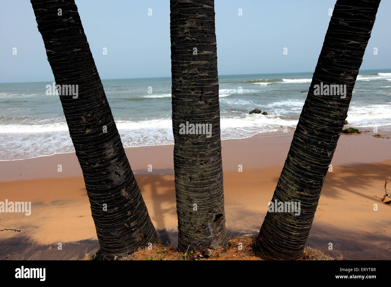 Bheemili Beach , Bheemunipatnam , Bhimlipatam , Bheemli , Bhimili , Visakhapatnam , Vishakhapatnam , Andhra Pradesh , India , Asia Foto Stock