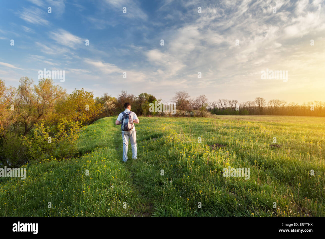 Bel tramonto. La molla del paesaggio con uomo sul campo. Alberi, cielo blu e nuvole Foto Stock