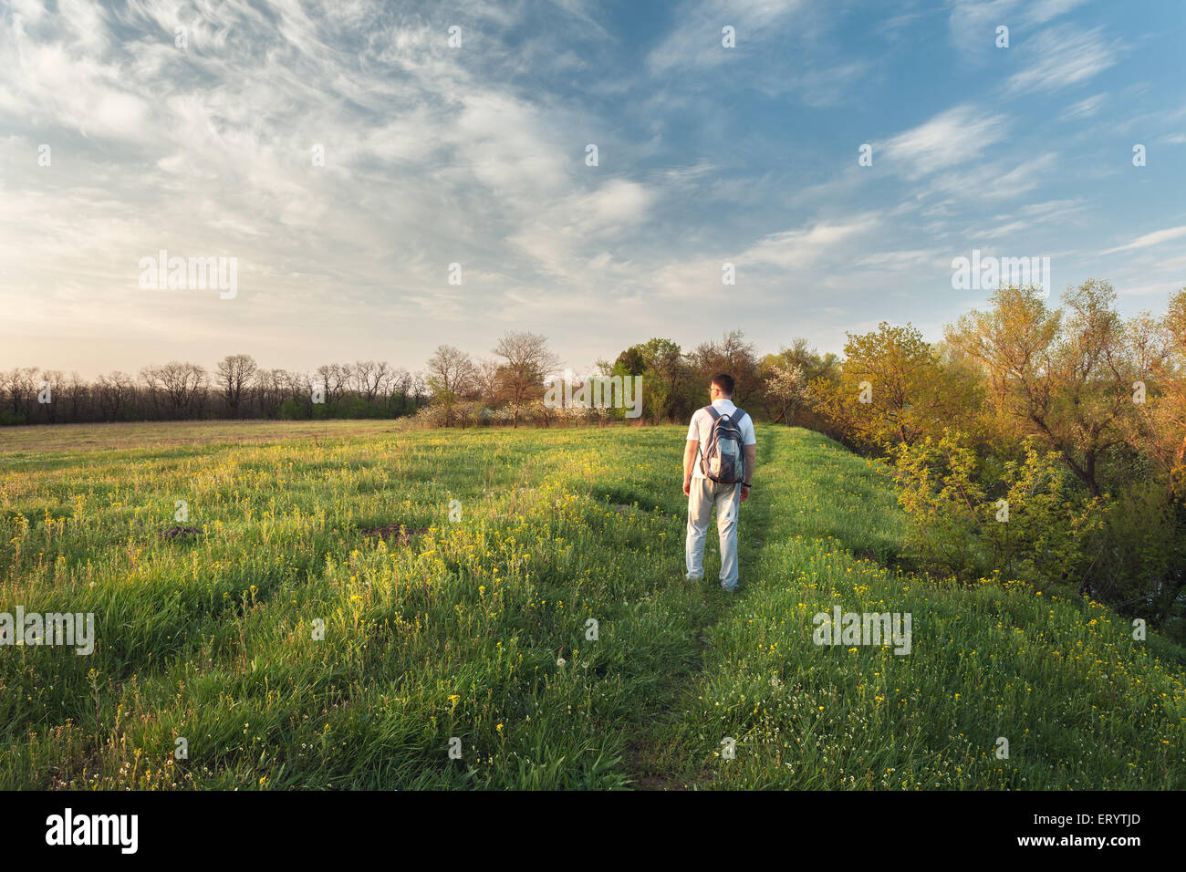 Bel tramonto. La molla del paesaggio con uomo sul campo. Alberi, cielo blu e nuvole Foto Stock