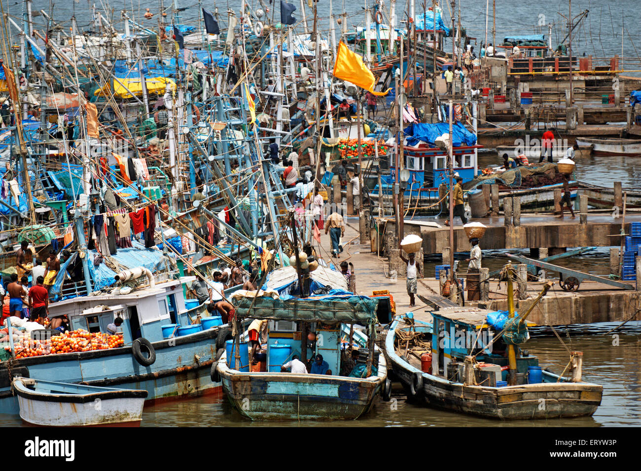 Barche da pesca ; Panji ; Panjim ; Goa ; India , asia Foto Stock
